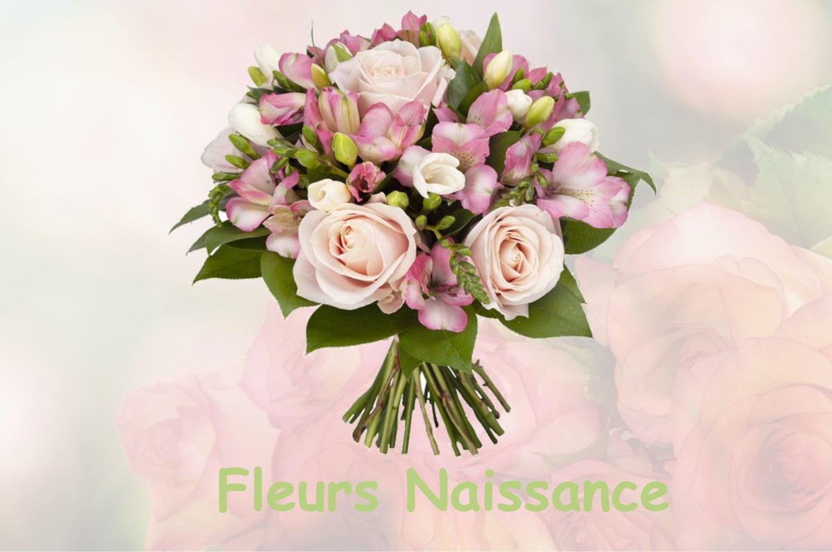fleurs naissance SAINT-PIERRE-LA-NOAILLE